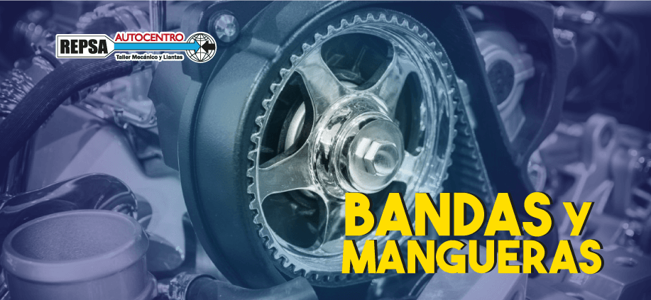 Bandas y mangueras
